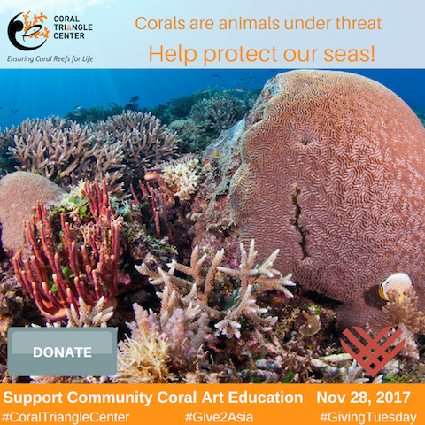 Giving Tuesday Campaign to Raise Funds for Community Coral Art Education Project