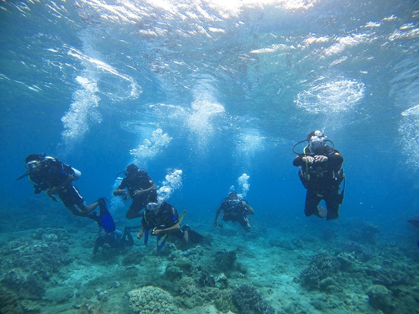 Dive Training Certification for Atauro MPA Staff