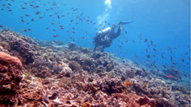 Indonesia’s Global Role in Ocean Protection and Sustainability