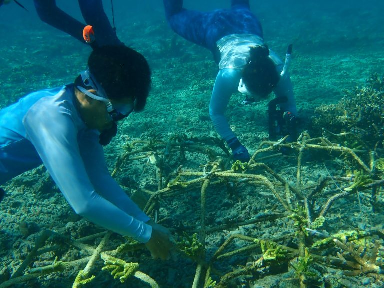 Reef Star Evaluation Visit: Penida and Lembongan