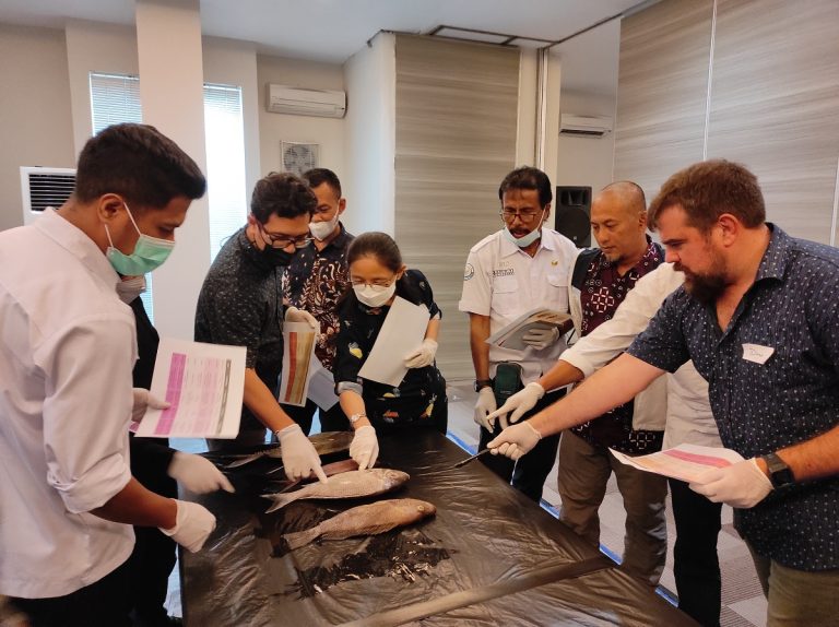 Fish Identification Training to Support Sustainable Fisheries in Banda