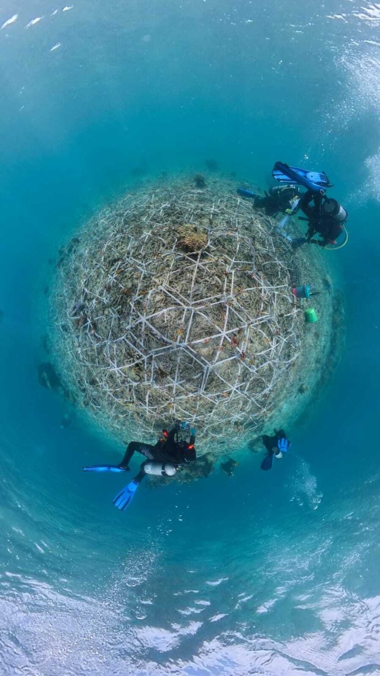 Indonesia Coral Reef  Restoration Task Force Training in Makassar