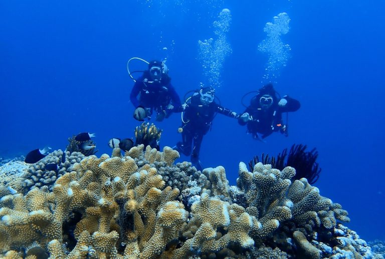 Underwater Biodiversity and Unique Cultural Experiences