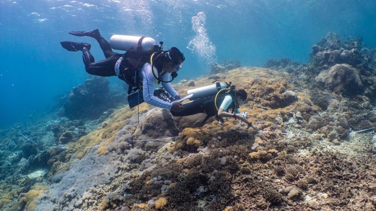 Image-based Approaches with Artificial Intelligence for Reef Health Monitoring at Nusa Penida Marine Protected Area (MPA)