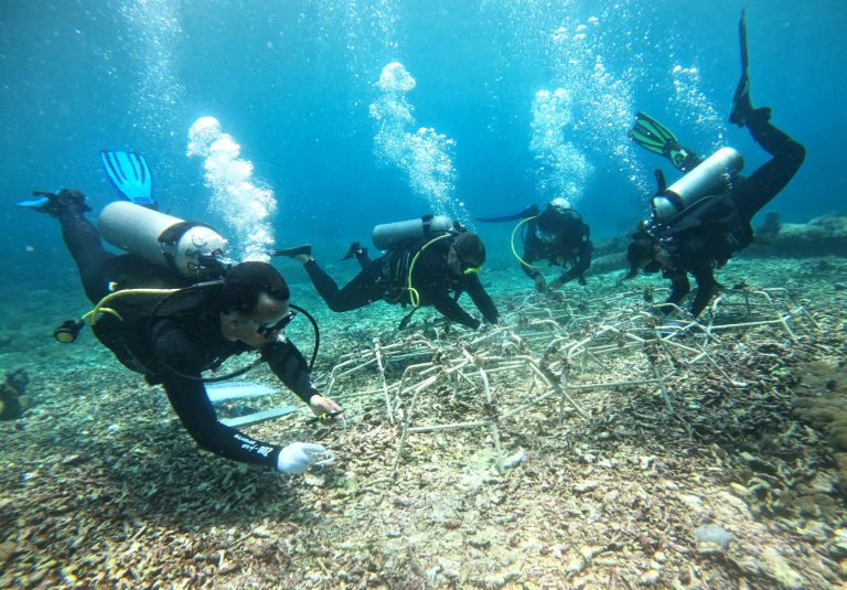 Beneath the Waves: Restoring Life in the Nusa Penida’s Underwater