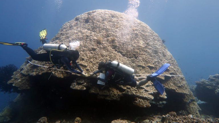 Learning New Tools for the Rapid Assessment of Coral Reef Health and Resilience in Maluku and Bali