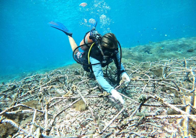 CTC Hosts Mission Blue for a Field Visit to Nusa Penida Marine Protected Area (MPA)