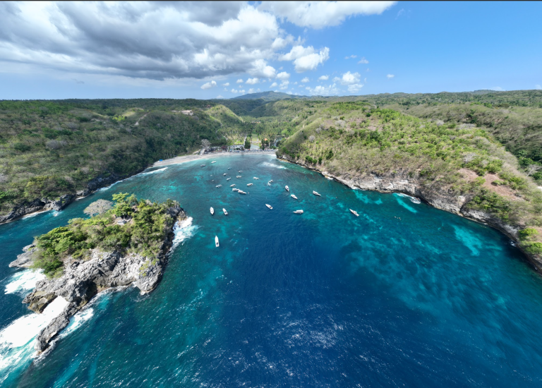 Celebrating a Milestone: Nusa Penida and Gili Matra Designated as Particularly Sensitive Sea Areas (PSSA)